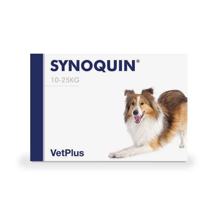 Synoquin EFA Medium tabl 30 kpl