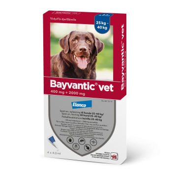 BAYVANTIC VET KOIRILLE 25-40 KG 400/2000 mg paikallisvaleluliuos 4x4 ml