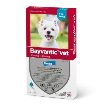 BAYVANTIC VET KOIRILLE 4-10 KG 100/500 mg paikallisvaleluliuos 4x1 ml